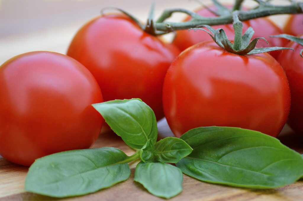 tomatoes, basil, red-7281825.jpg