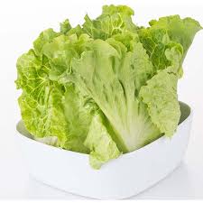 本地生菜 1斤